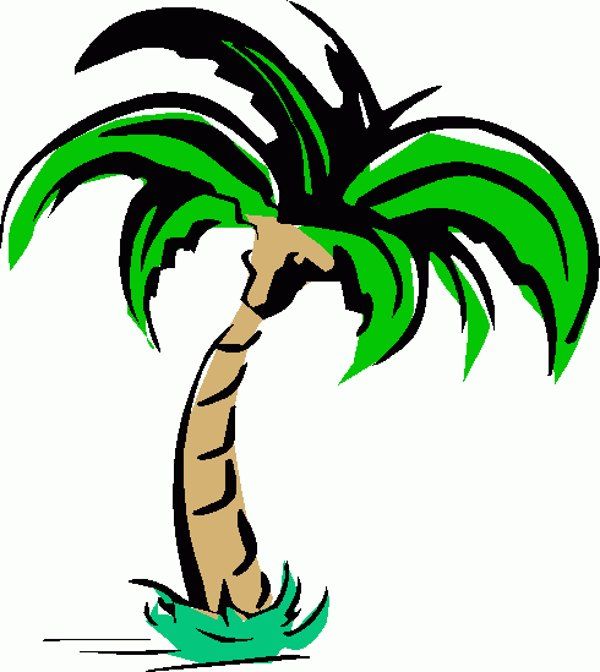 600x672 The Best Palm Tree Clip Art Ideas Palm Tree