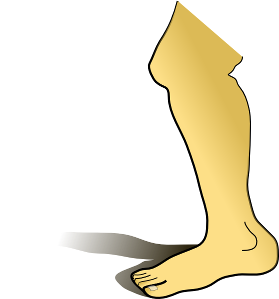 558x599 Leg Clipart
