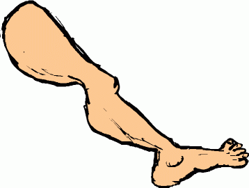 358x270 Legs Clipart Human Leg