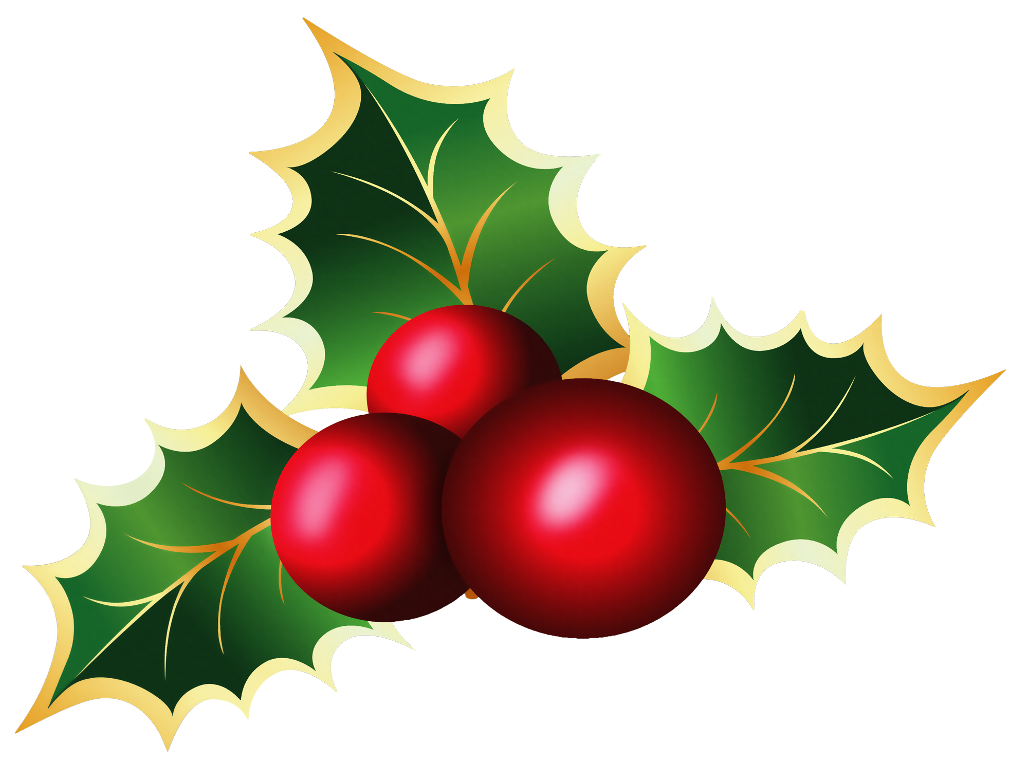 2000x1483 Transparent Christmas Mistletoe Picture Clipart