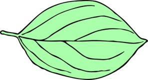 297x162 Another Light Green Oval Leaf Clip Art