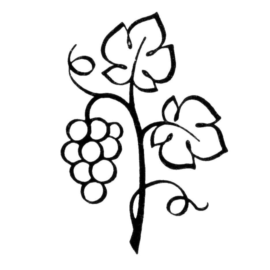 937x937 Top I Am The Vine Clip Art Pictures Free Vector Art, Images