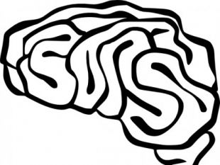 310x233 Brain Vector Image Free Vectors Ui Download