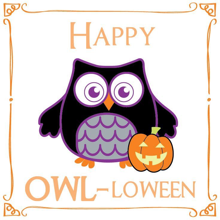 735x735 614 Best Owl Oween Images Love, Owls And So Cute