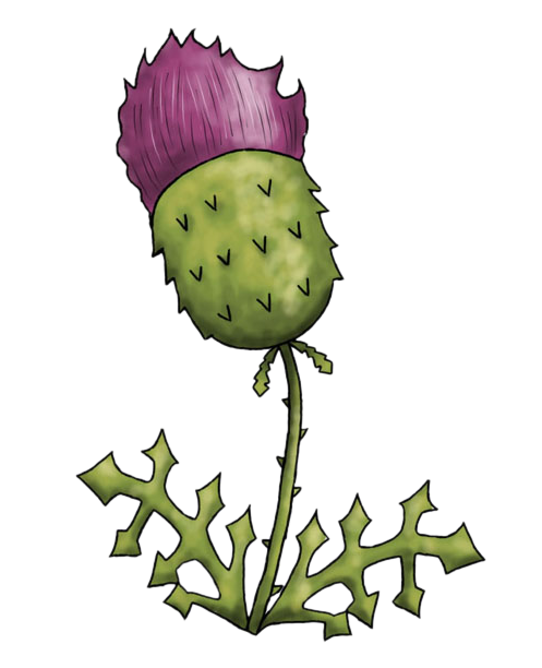 497x612 Free Thistle Clip Art