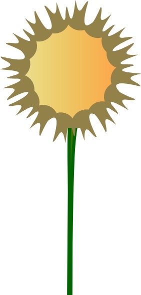 282x591 Scottish Thistle Free Vector Download (29 Free Vector)