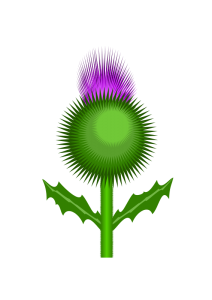 212x300 Thistle Clip Art Download