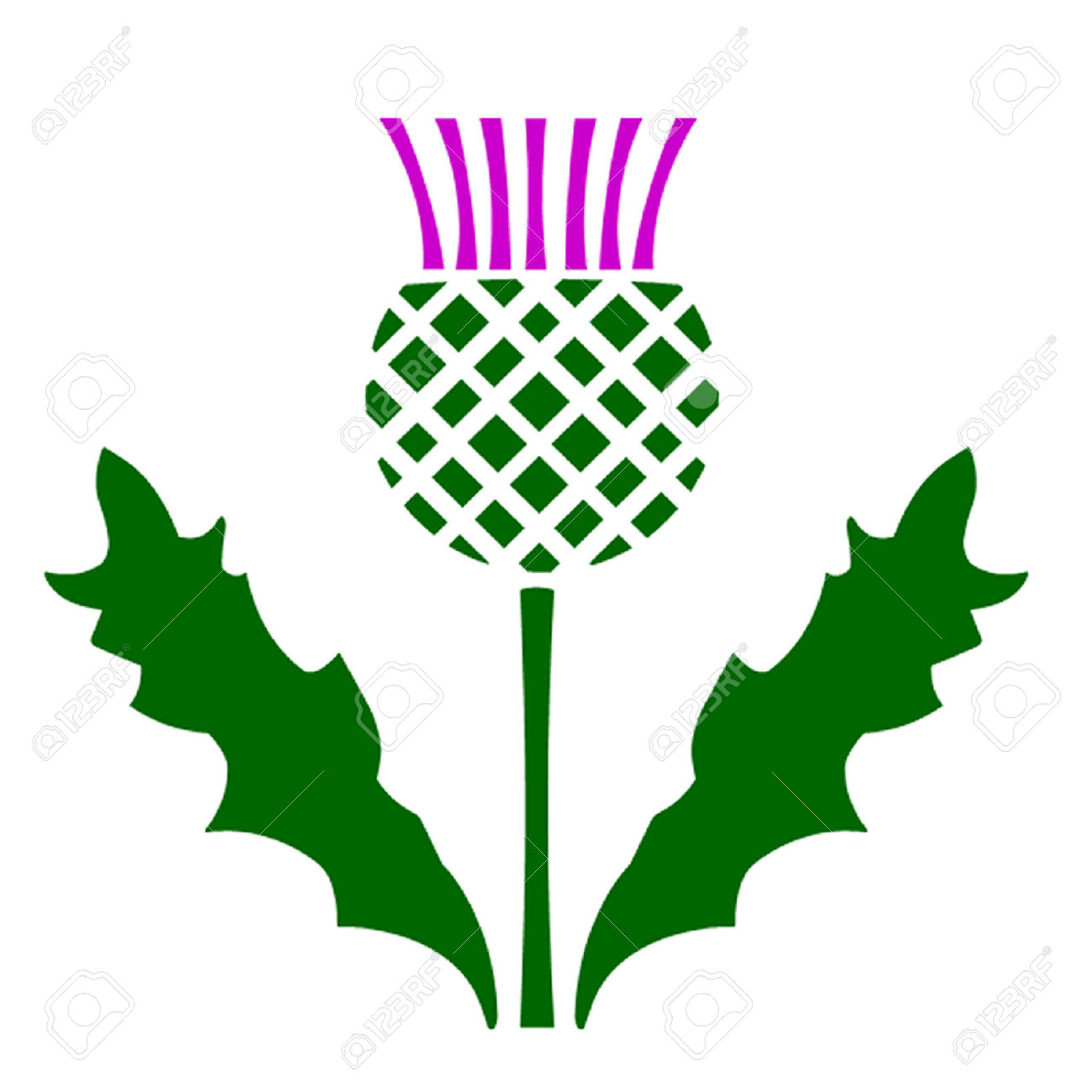 1300x1300 Thistle Clip Art Cliparts