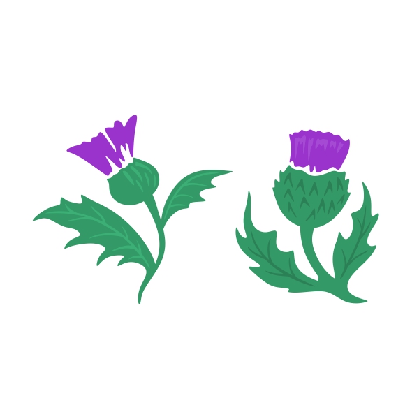 600x600 Thistle Clip Art Clipart Collection