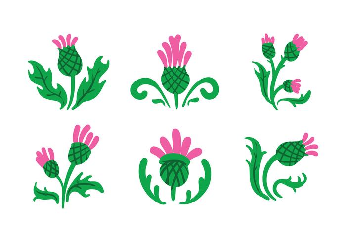 700x490 Thistle Vector