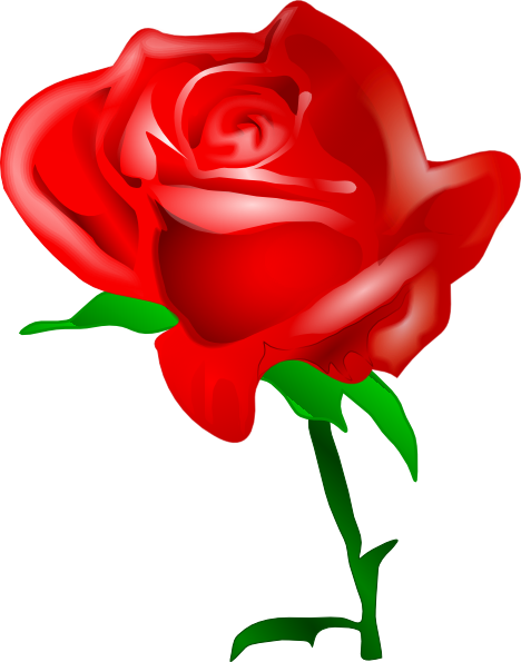 468x595 Red Rose Clipart