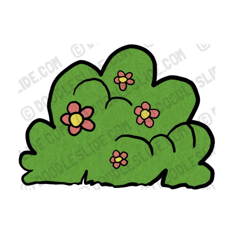 800x800 Shrub Clipart