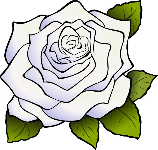 550x524 Black Rose Clip Art
