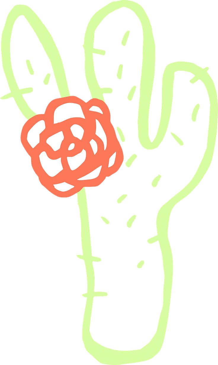 736x1234 9 Best Cactus Images Pictures, Deserts And Draw