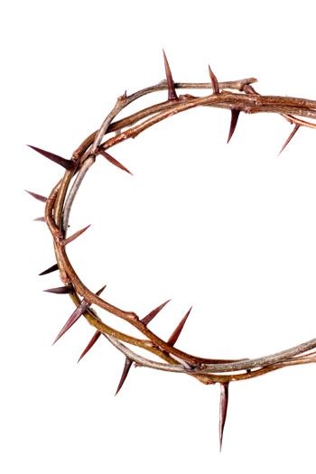 350x525 Clipart Crown Of Thorns