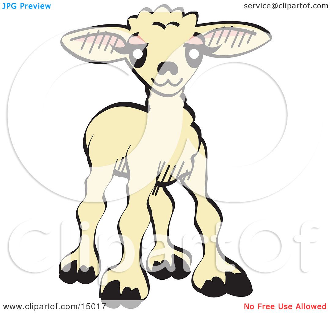 1080x1024 Baby Tiara Clip Art