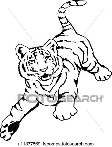 358x470 Clip Art Of Tiger U11877569