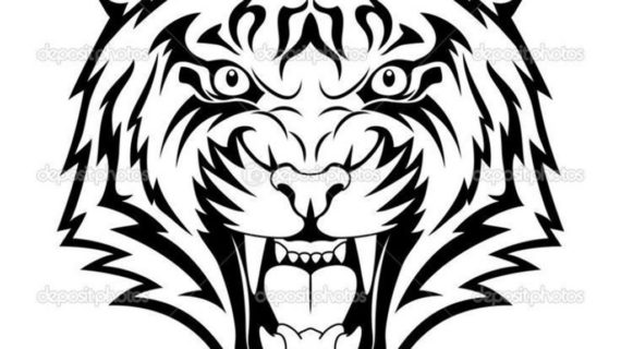 570x320 Tiger Face Drawing Tiger Face Clip Art Black And White Clipart