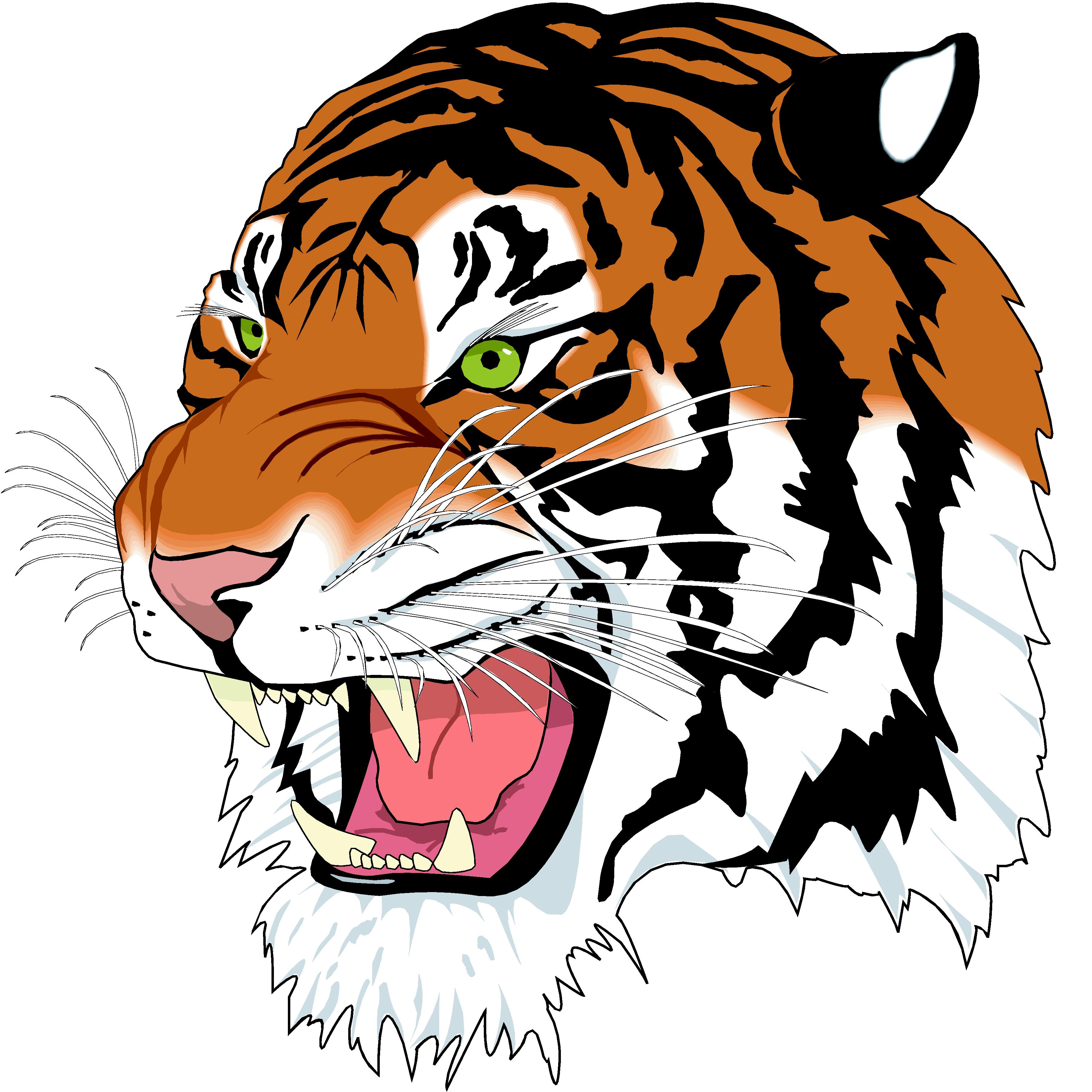 3600x3600 Tiger Head Clip Art