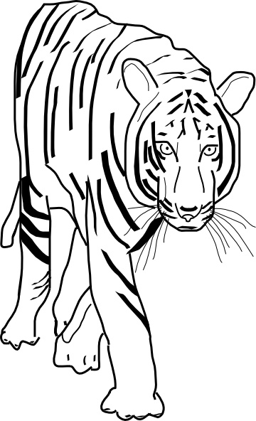 360x592 B W Tiger Clip Art Free Vector In Open Office Drawing Svg ( Svg