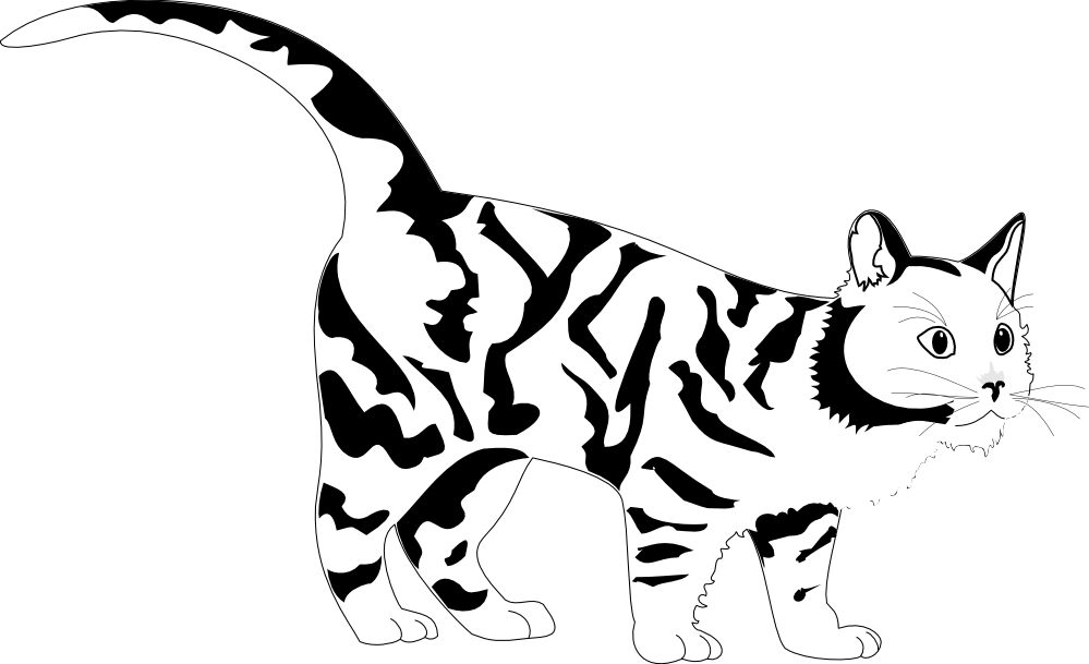 999x609 White Tiger Clip Art