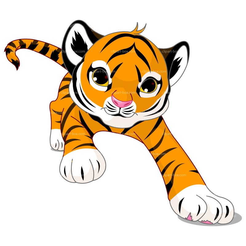 800x800 Clipart Running Tiger Clipart Panda
