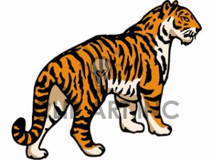 300x225 Tiger Clip Art Tiger Clip Art, Pictures, Vector Clipart, Royalty