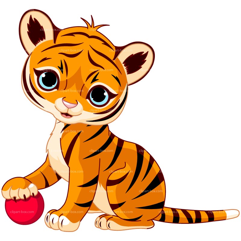 800x800 Tiger Clip Art Free Clipart Images 5