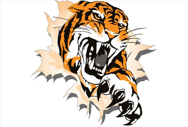 620x418 Tiger Head Clip Art Free Clipart Images