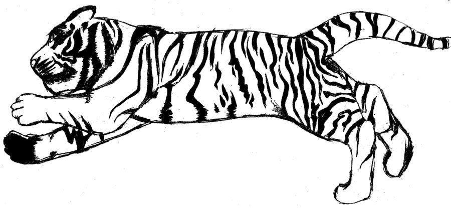 900x415 Running Tiger Clipart Black And White Letters Example