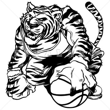 361x361 Tiger Basketball Clipart Black And White