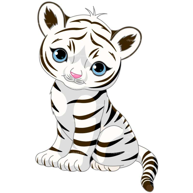 800x800 Tiger Black And White Clip Art