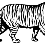 150x150 Free Tiger Clipart Black And White Image