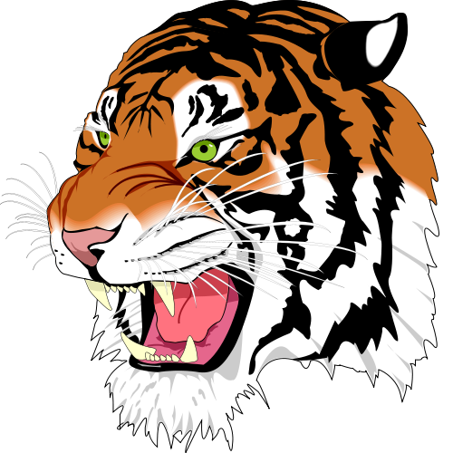 500x500 Free Tiger Face Clipart Image