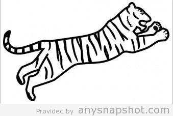 339x228 Jumping Tiger Clip Art Free Vector