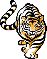 160x200 Tiger Clip Art Many Interesting Cliparts