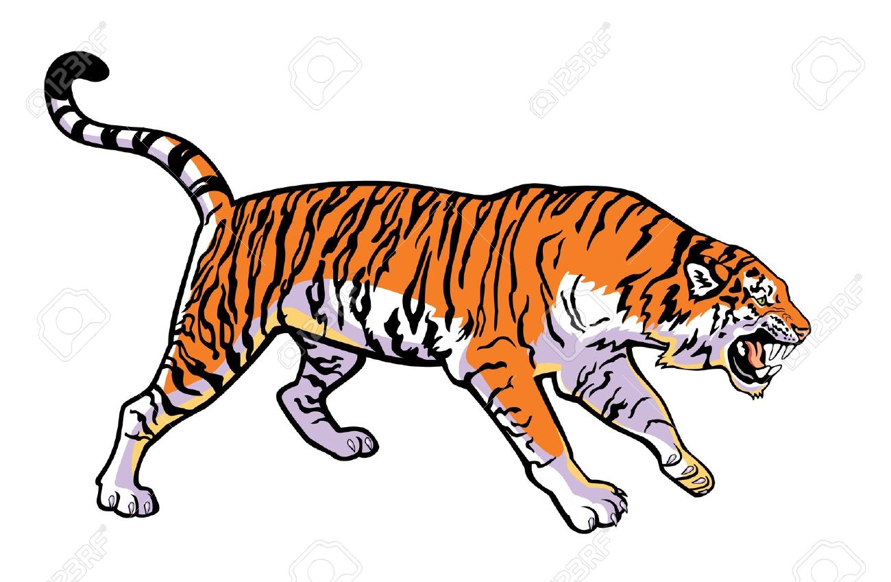1300x849 Top 91 Tiger Clip Art