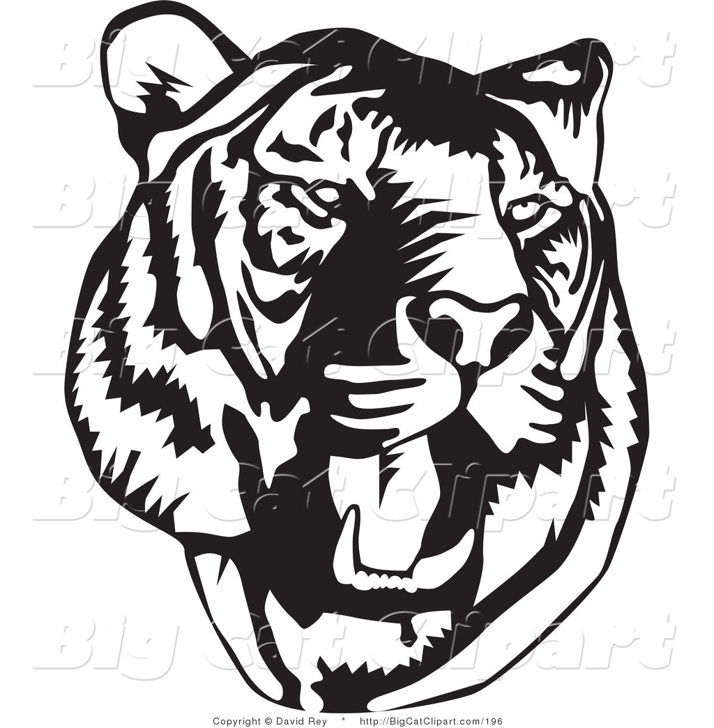 1024x1044 Big Cat Clipart Bengal Tiger