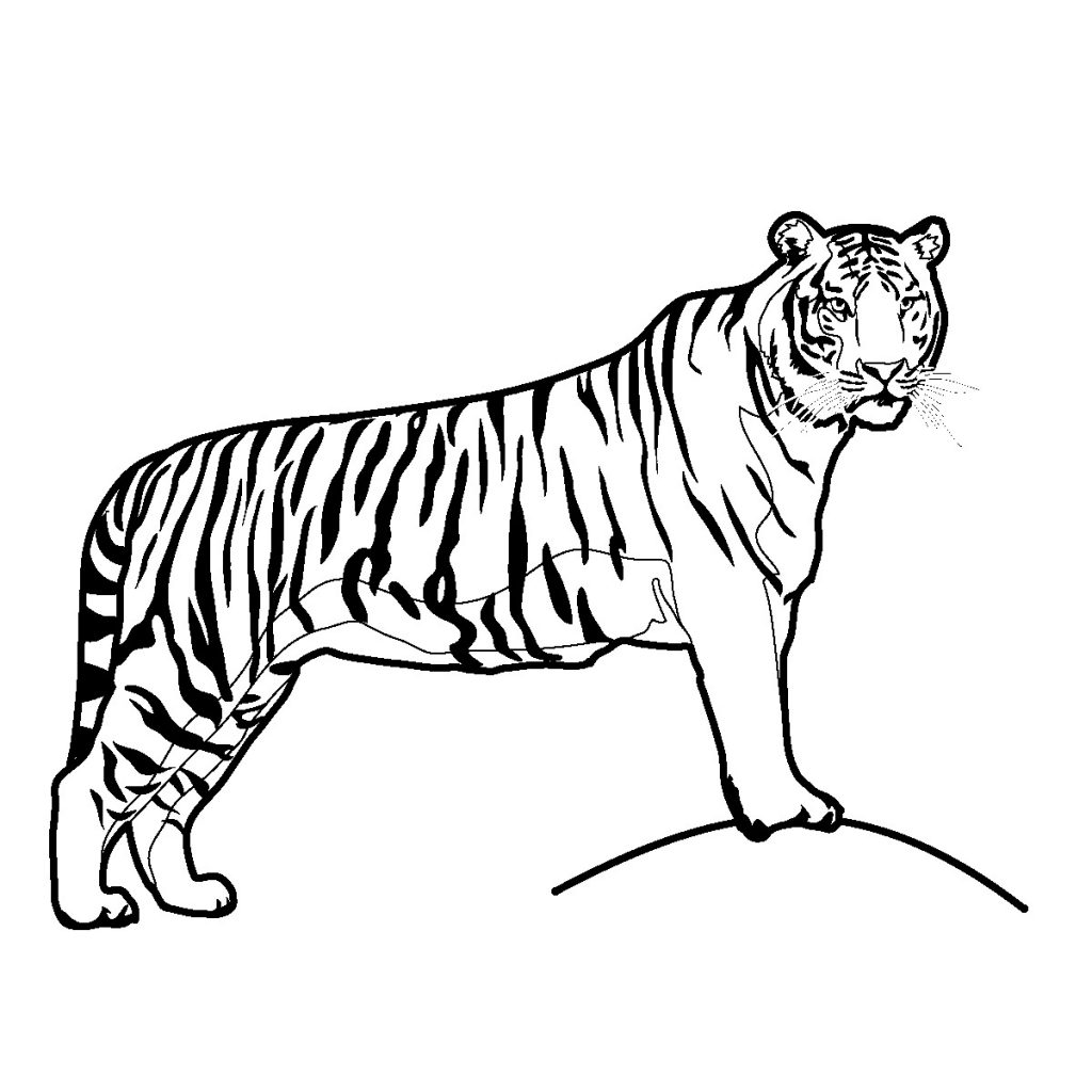 1024x1024 Free Printable Tiger Coloring Pages For Kids