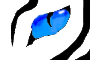 300x200 How To Draw A Tiger Eye