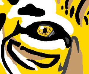 300x250 A Cat Tiger Eye