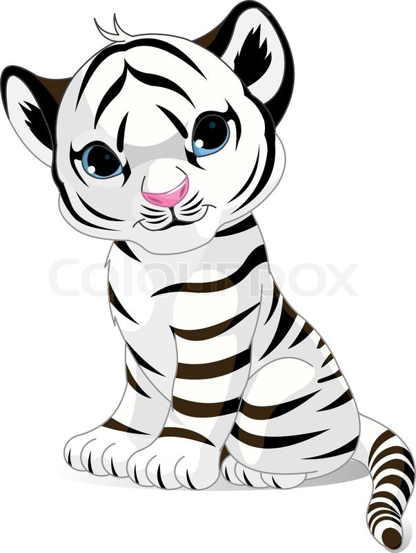 603x800 Illustration Of Cute White Tiger Stock Vector Colourbox