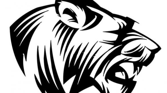 585x329 Nice Tiger Wall Art Canvas Stickers Uk Nz Stencils Eyes Woods