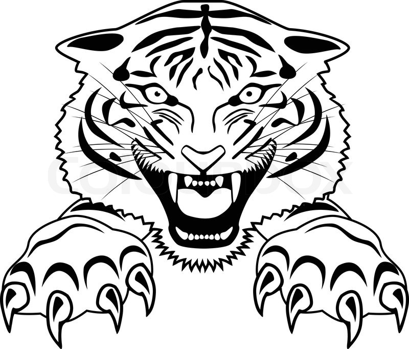 800x682 Tiger Tattoo Stock Vector Colourbox