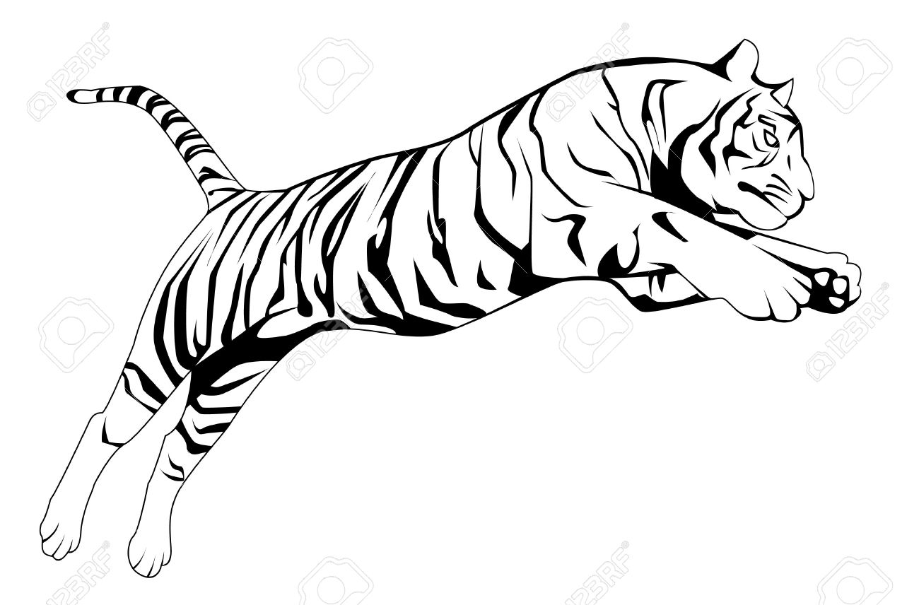 1300x856 Tigres Clipart Tiger Eyes
