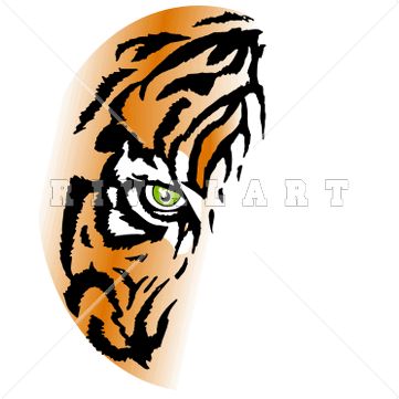 361x361 Tiger 1 Color Clipart