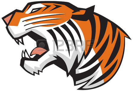 450x309 Tiger Claw Rip Mark, With Tiger Face Behind It Royalty Free