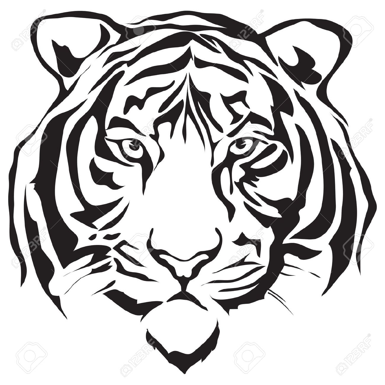 1300x1300 White Tiger Clipart Head
