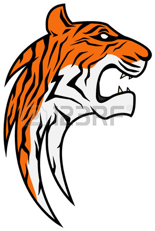 302x450 7,074 Tiger Head Stock Vector Illustration And Royalty Free Tiger