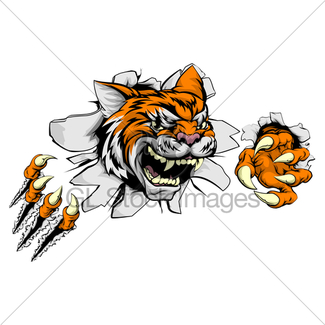 325x325 Tiger Rugby Mascot Vector Illustration Gl Stock Images